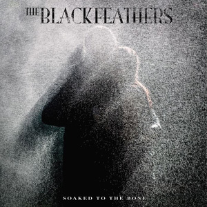 The Black Feathers